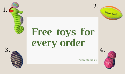 Image 24: catalog/home/pps web promo banner-1.png